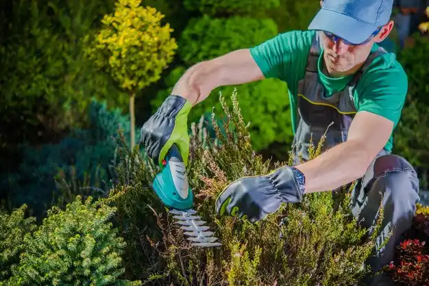 landscaping services North Platte